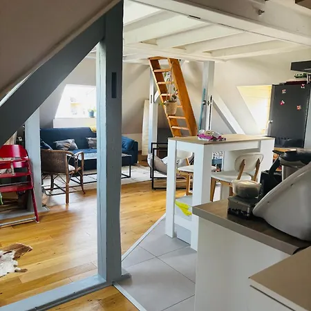 Un Petit Cocon Sous Les Toits Apartment *